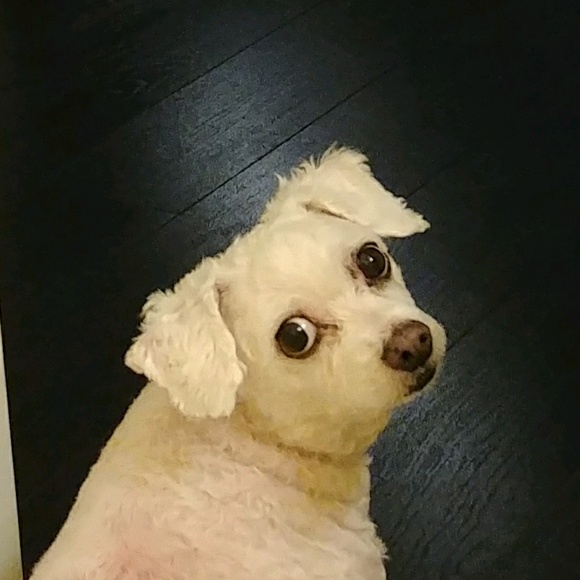 myrichy